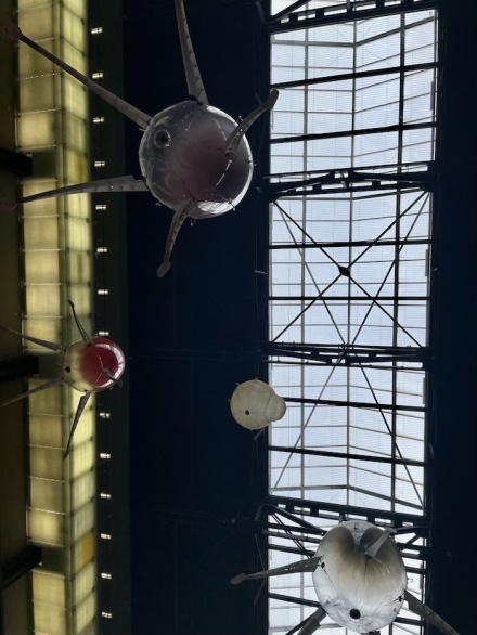 Anicka Yi-Turbine Hall-Tate Modern 3