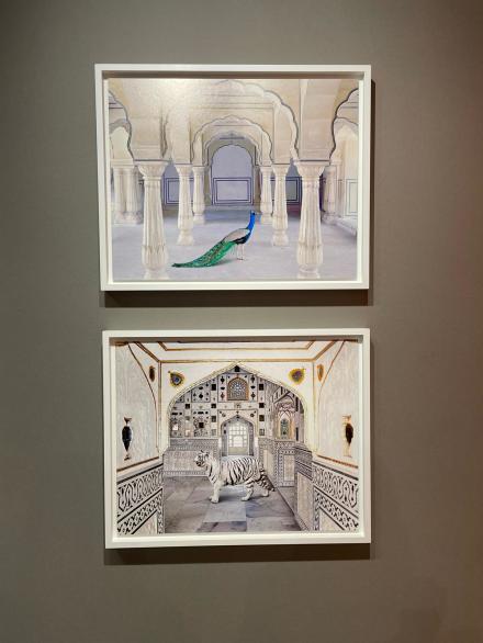 Karen Knorr at Danzinger, via Art Observed