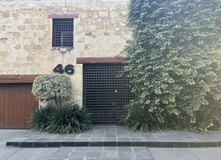 Vivarium (Installation View), via Anfisa Vrubel for Art Observed