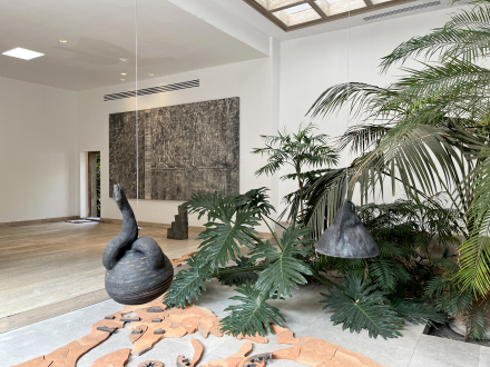 Vivarium (Installation View), via Anfisa Vrubel for Art Observed