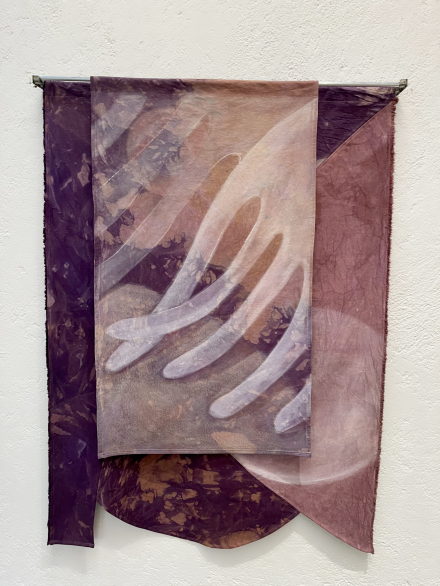 Vivarium (Installation View), via Anfisa Vrubel for Art Observed