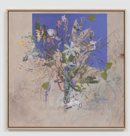 Petra Cortright, Women of Wrestling_zoid's bikini links USA TODAY BUSINESS_Tomb+Raider+2 Game (2021), via Foxy Production