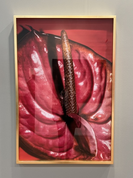 Maisie Cousins at Galeria Hilario Galguera