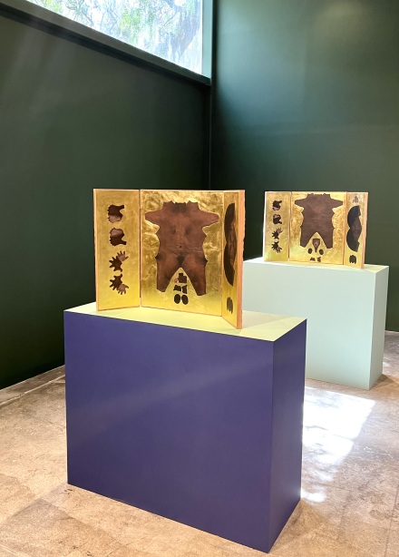 ntonio Vega Macotela ANFISA VRUBEL