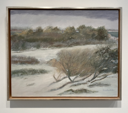 JaneFreilicher_SnowfallStudy_1999 copy