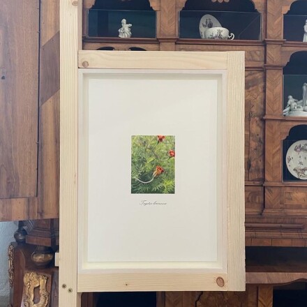 Danh Vo at Querini Stampalia