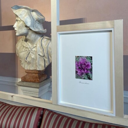 Danh Vo at Querini Stampalia