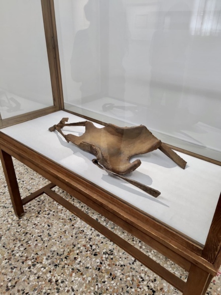 7da469f5-0e86-4c11-9079-8037184fe38f