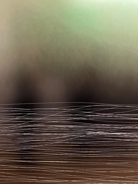 Anne Imhof - Avatar 07