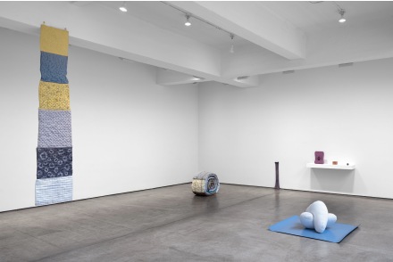 Veronica Ryan, Along A Spectrum (Installation View) via Paula Cooper