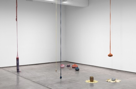 Veronica Ryan, Along A Spectrum (Installation View) via Paula Cooper