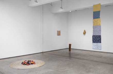 Veronica Ryan, Along A Spectrum (Installation View) via Paula Cooper
