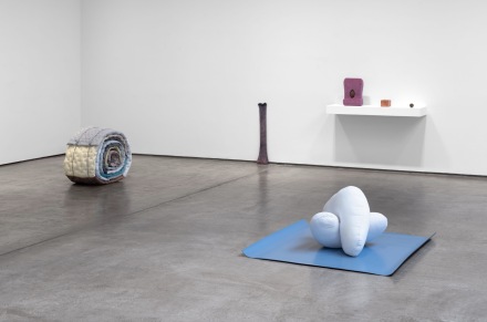 Veronica Ryan, Along A Spectrum (Installation View) via Paula Cooper