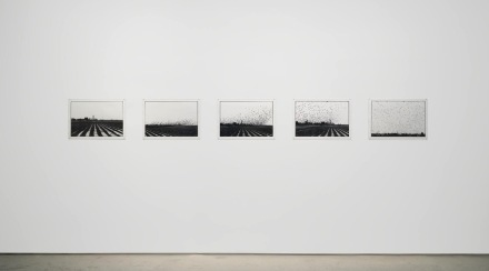Zoe Leonard, Al Rio / To the River (Installation View), via Hauser & Wirth