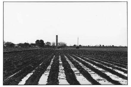 Zoe Leonard, Untitled (2020/2022), via Hauser & Wirth