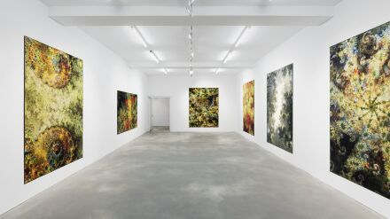 Thomas Ruff, d.o.pe. (Installation View), via Sprüth Magers