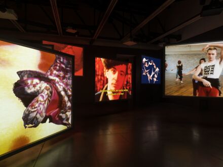 Charles Atlas, A Prune Twin (Installation View), via Luhring Augustine