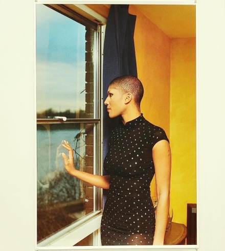 Wolfgang Tillmans at Maureen Paley