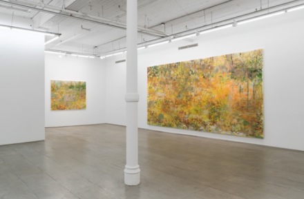 Trevor Shimizu, Cycles (Installation View), via 47 Canal