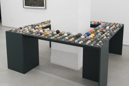 Erin Jane Nelson, Chronomicrobiome (2023), via Chapter NY