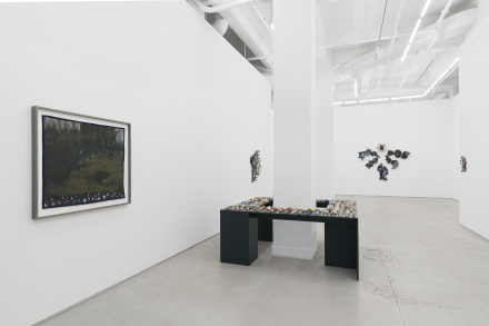 Erin Jane Nelson, Sublunary (Installation View), via Chapter NY