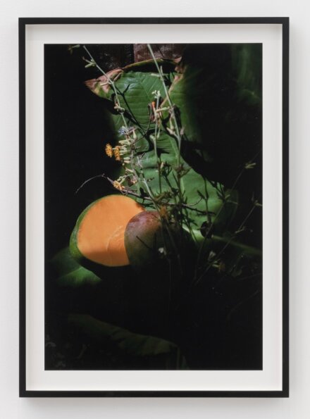 Kay Kwabia, Play with Your Food (2020)