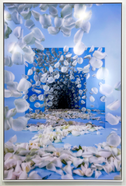 Sarah Meyohas, Country, Untitled Miami 2023