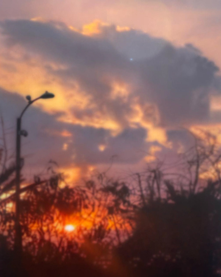 Sayre Gomez at FrancÌ§ois Ghebaly